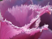 Preview - Click to zoom